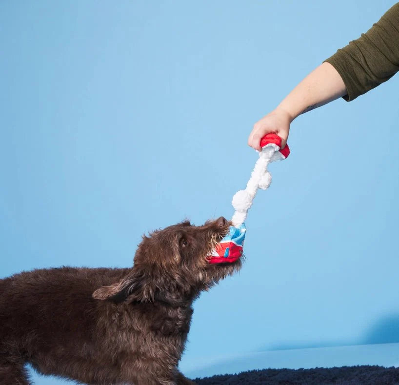 BARK Poopies & Cream Pint Toy