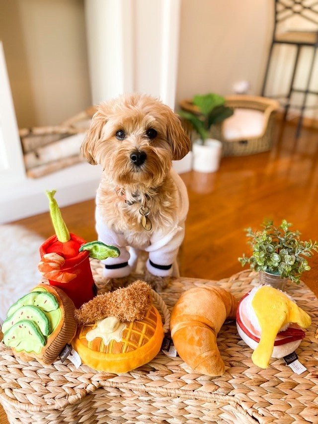 Barking Brunch Collection 5-pc Set